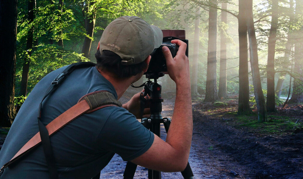 novináři a novinářky