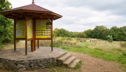 čtenářské ohlasy