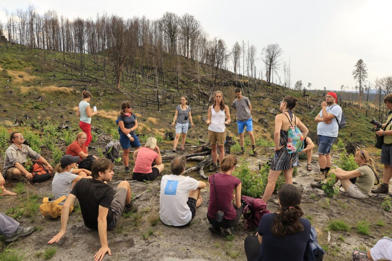 umění provázet přírodou