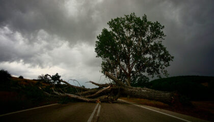 klimatickou odolnost