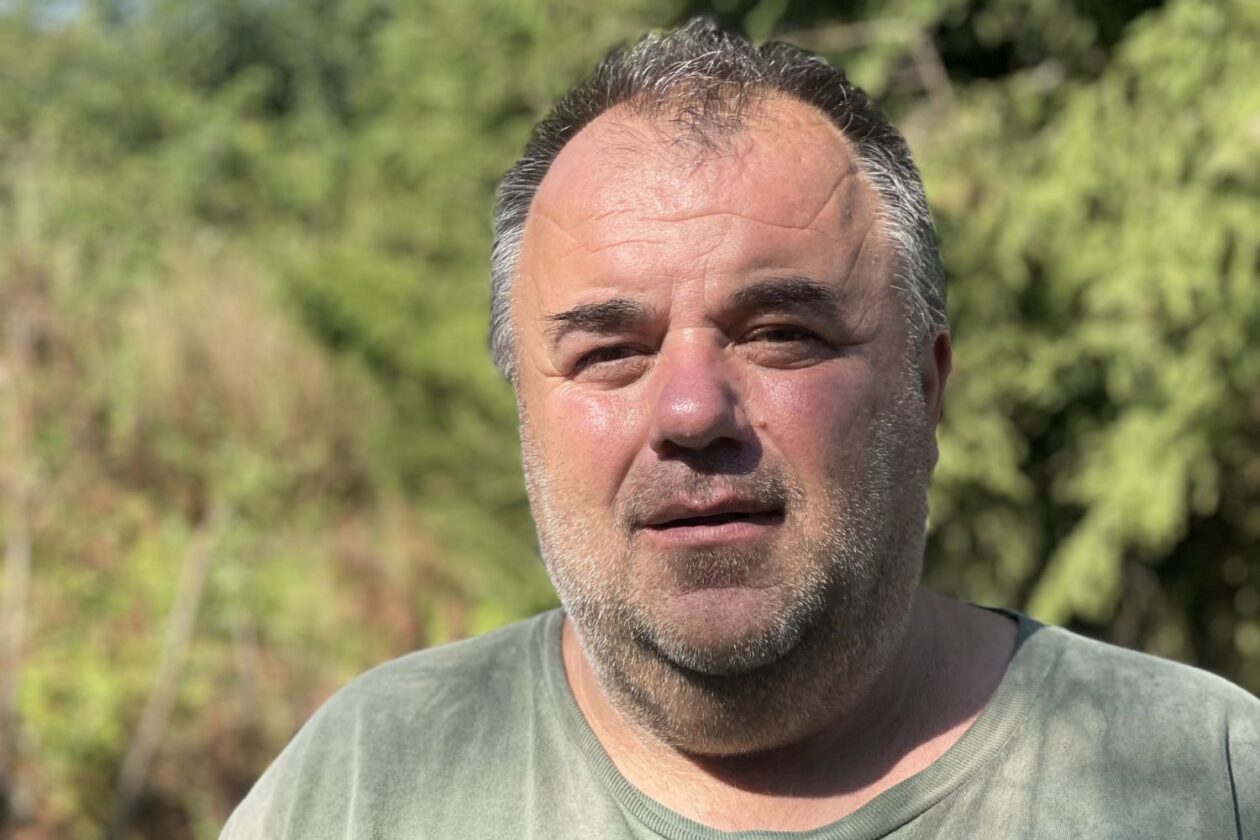 Svobodně se vyvíjející lesy